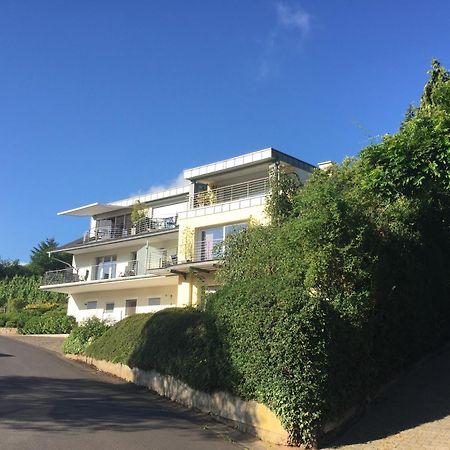 Ferienhaus Panorama Mosel Reil Εξωτερικό φωτογραφία