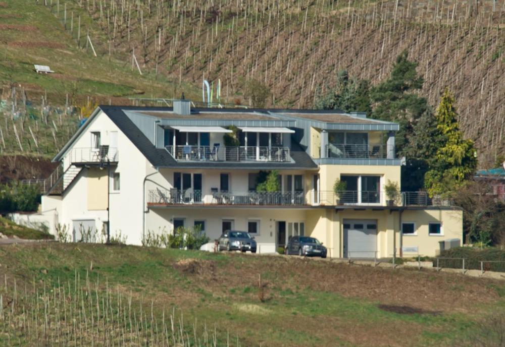 Ferienhaus Panorama Mosel Reil Εξωτερικό φωτογραφία