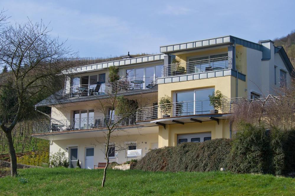Ferienhaus Panorama Mosel Reil Εξωτερικό φωτογραφία