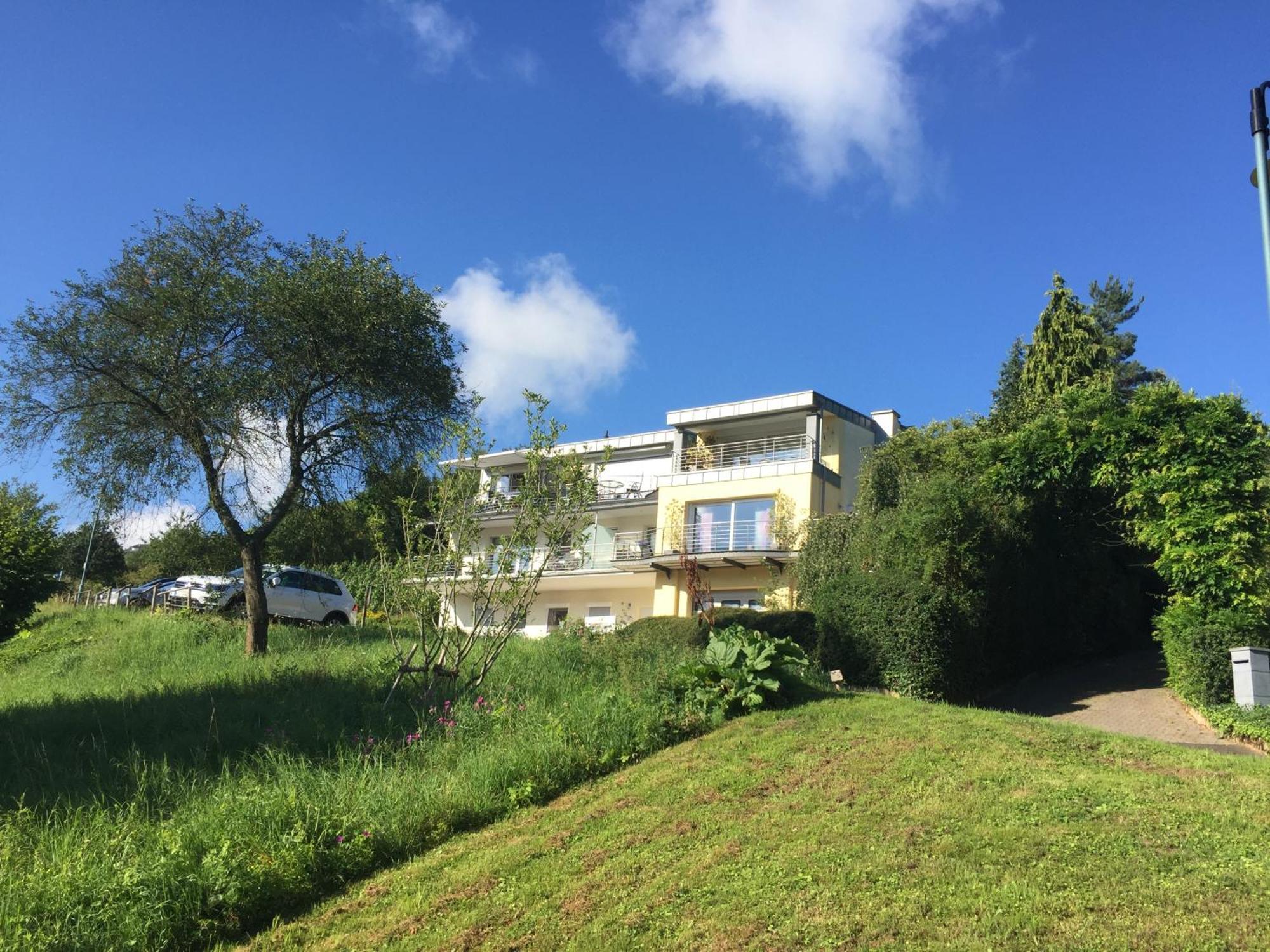 Ferienhaus Panorama Mosel Reil Εξωτερικό φωτογραφία